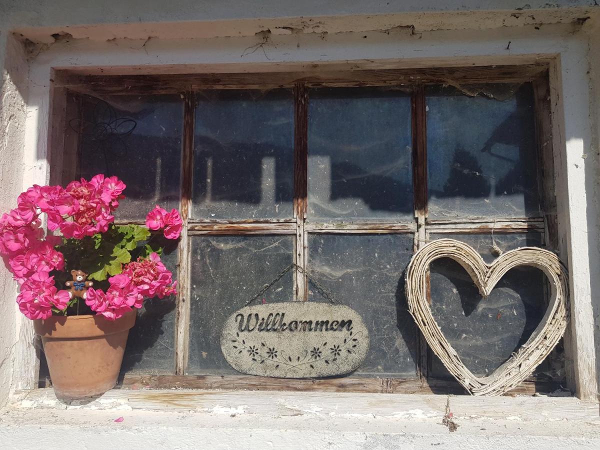 Appartement Muehlebnerhof Ramsau am Dachstein Kültér fotó