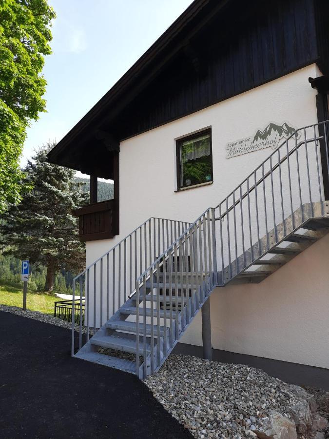 Appartement Muehlebnerhof Ramsau am Dachstein Kültér fotó