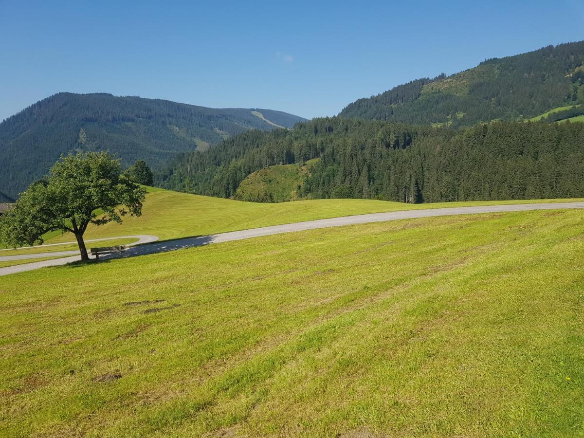 Appartement Muehlebnerhof Ramsau am Dachstein Kültér fotó