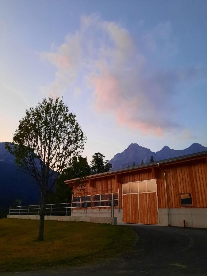 Appartement Muehlebnerhof Ramsau am Dachstein Kültér fotó