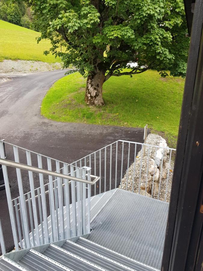 Appartement Muehlebnerhof Ramsau am Dachstein Kültér fotó