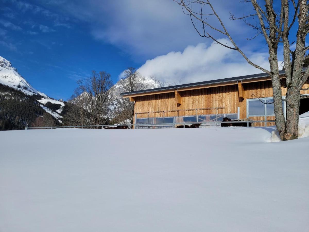 Appartement Muehlebnerhof Ramsau am Dachstein Kültér fotó