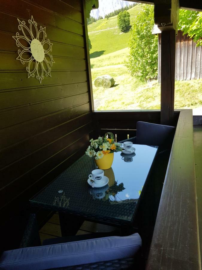 Appartement Muehlebnerhof Ramsau am Dachstein Kültér fotó